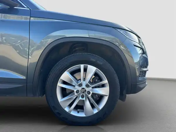ŠKODA KODIAQ (16/16)