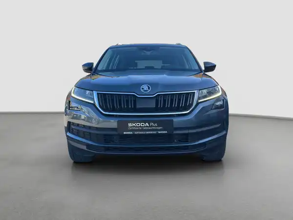 ŠKODA KODIAQ (3/16)