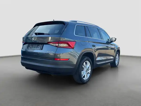 ŠKODA KODIAQ (5/16)