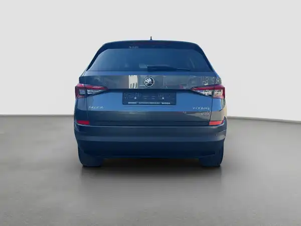 ŠKODA KODIAQ (6/16)