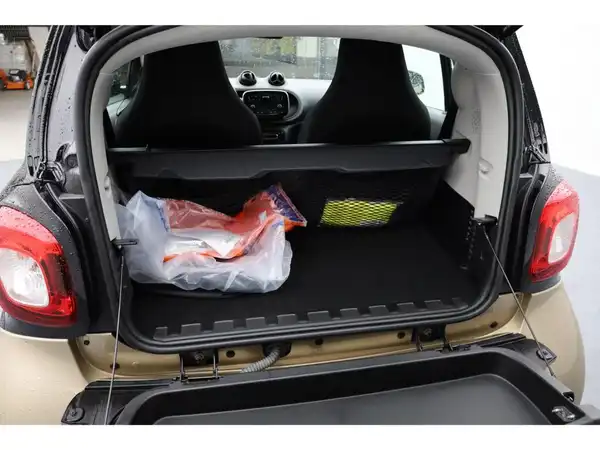SMART FORTWO (17/19)